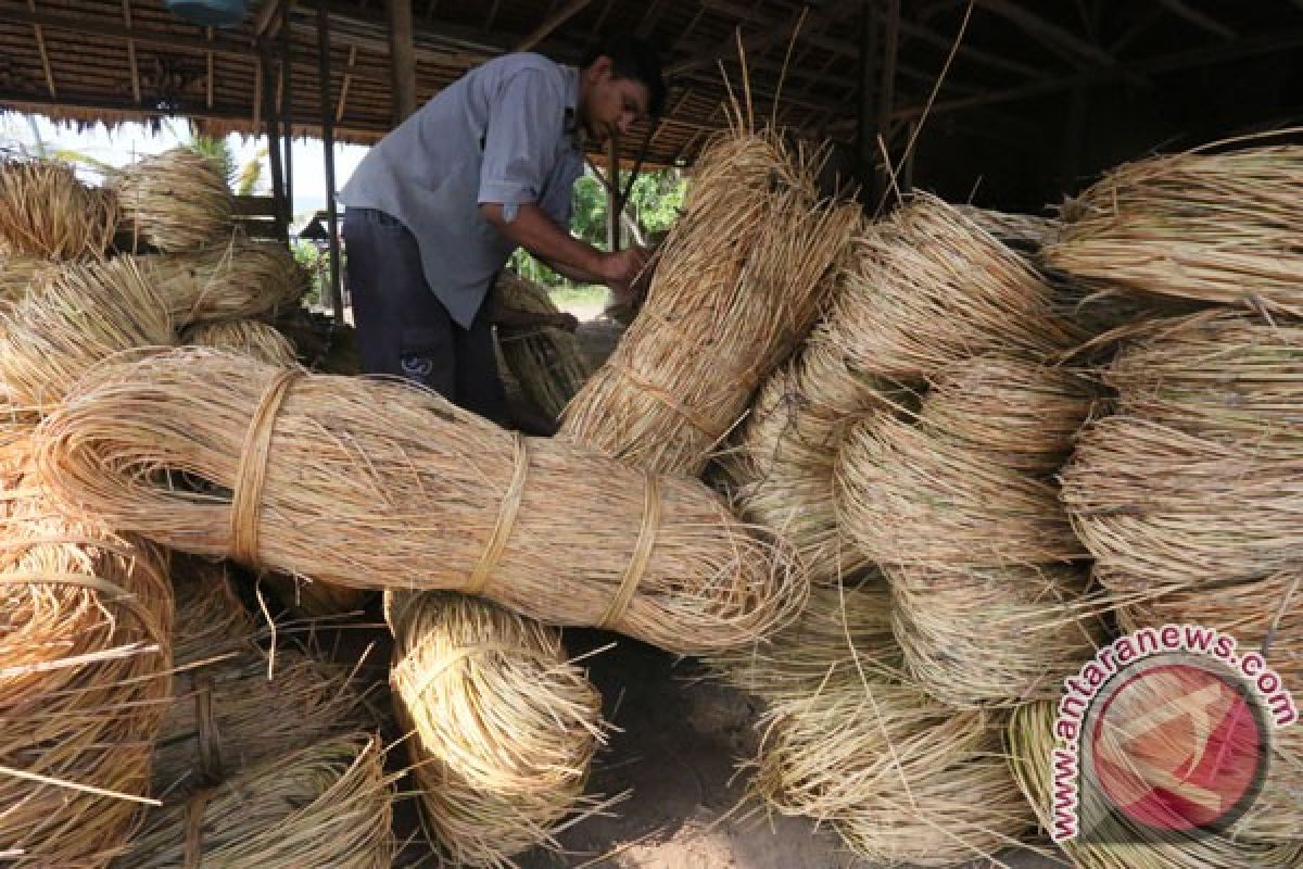 PPI disiapkan jadi eksportir tunggal rotan setengah jadi