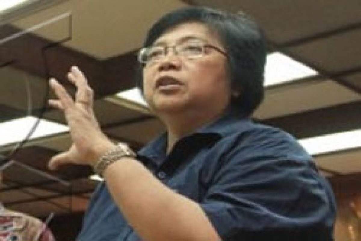 Siti Nurbaya: Pelaku Illegal Logging Itu Teroris