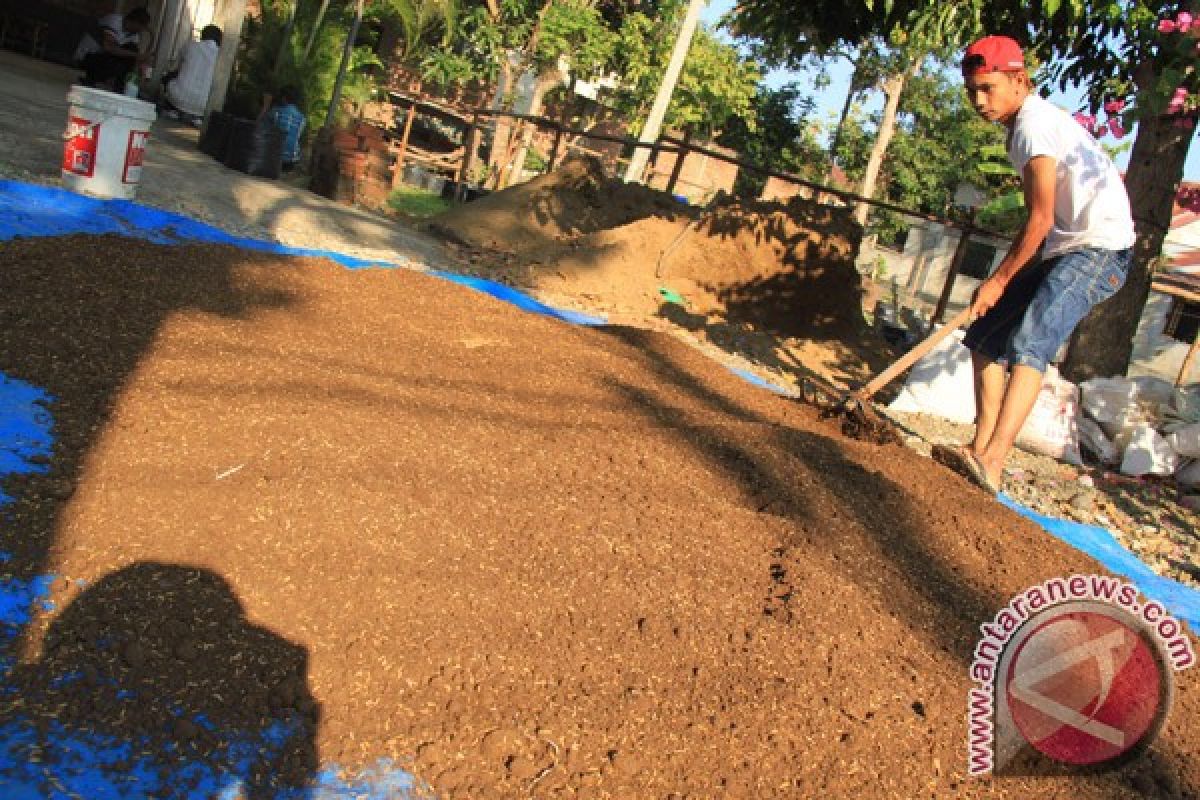 Bank Indonesia Lhokseumawe latih petani buat pupuk organik