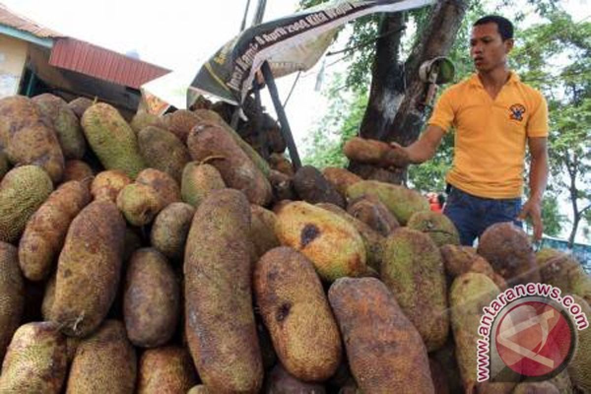 South Kalimantan Inland Flooded by Cempedak Fruit