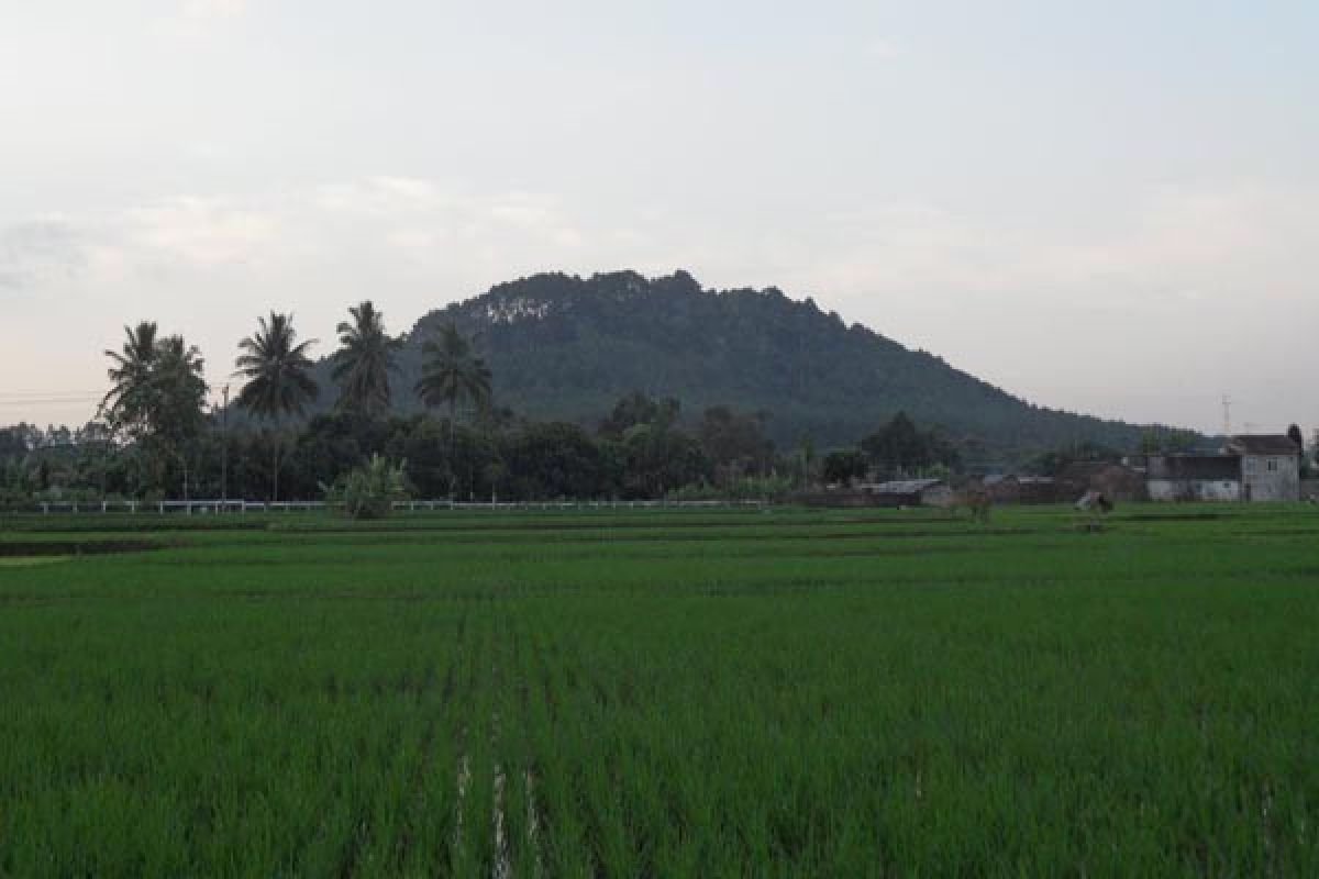 120 penyair ikuti "Arus Sungai Sastra Magelang" 