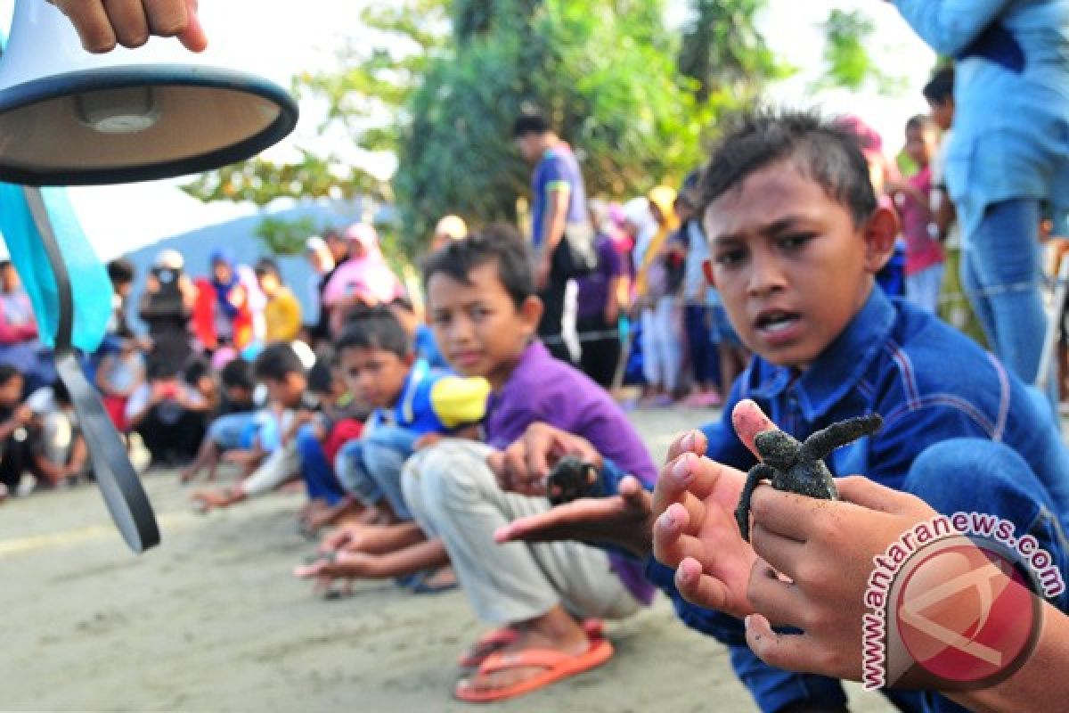 Pelajar Aceh Lepasliarkan Puluhan Tukik