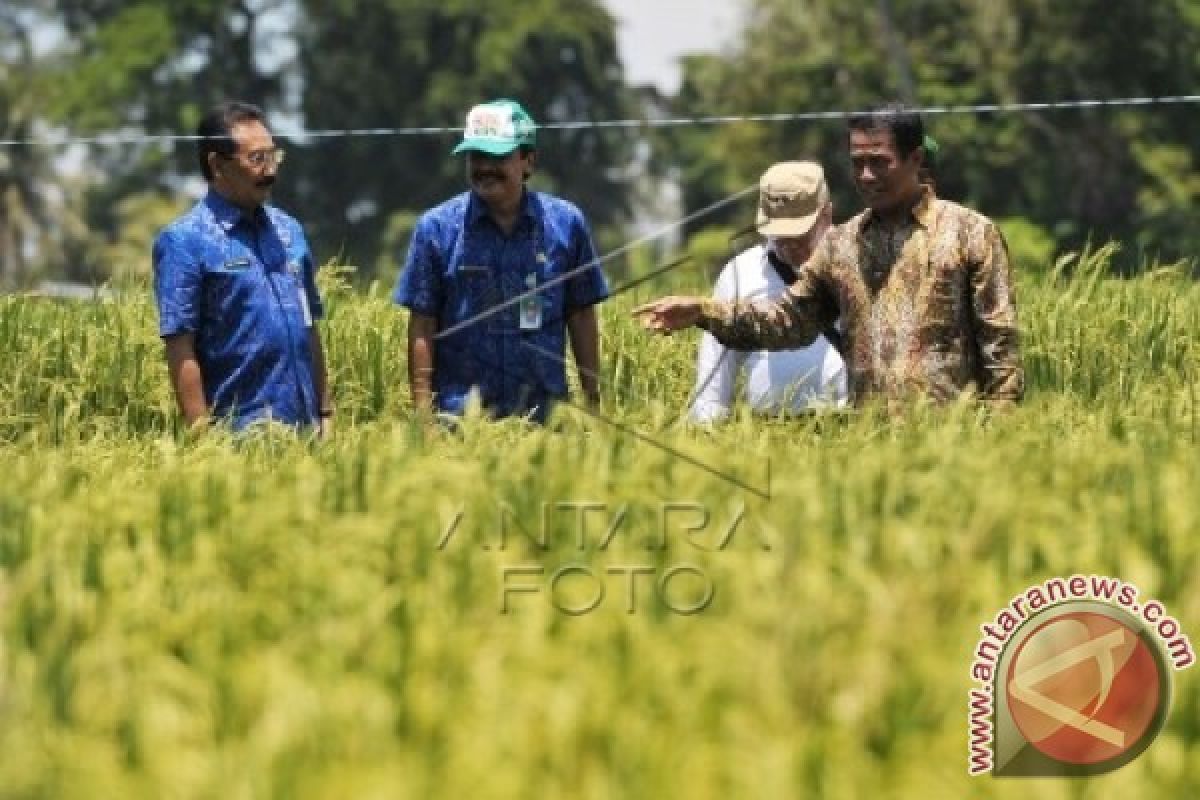 Mentan Apresiasi Terobosan Pemkab Badung