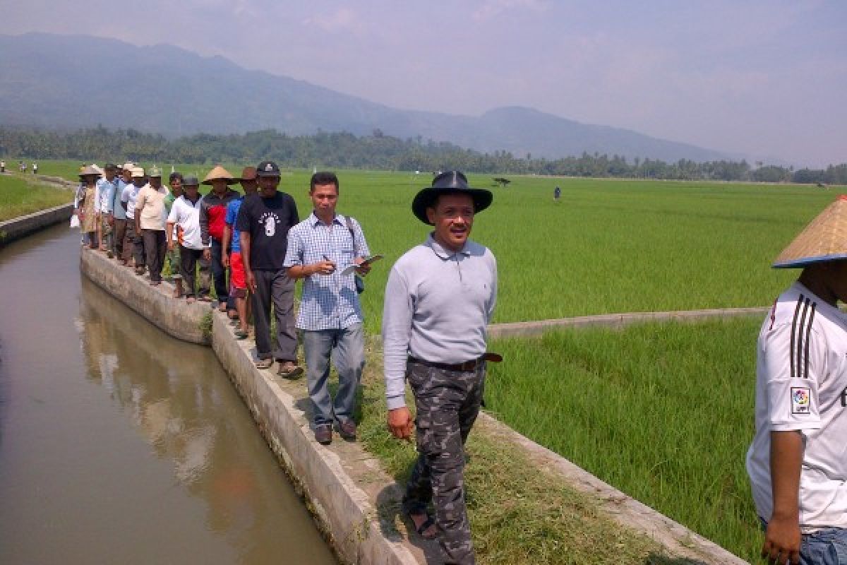 P3A Sawah Tangah Gelar Acara Tolak Bala