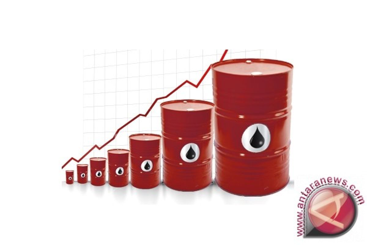 Harga minyak melonjak 6 persen pasca kesepakatan OPEC