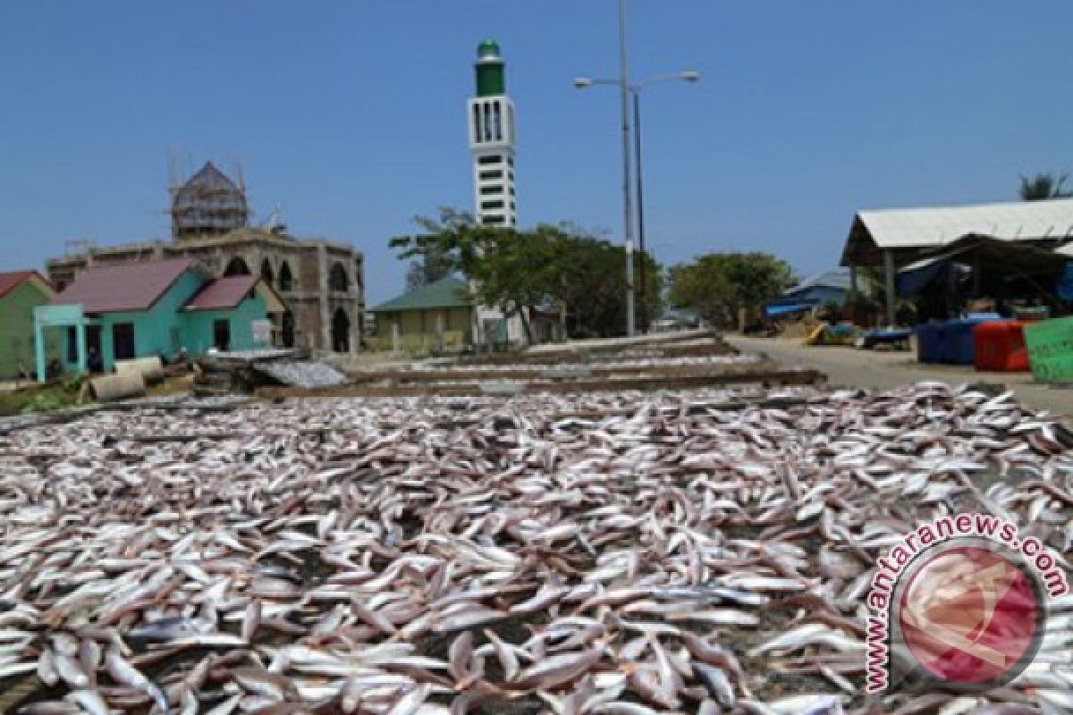 Penjemuran ikan asin serap ribuan tenaga kerja