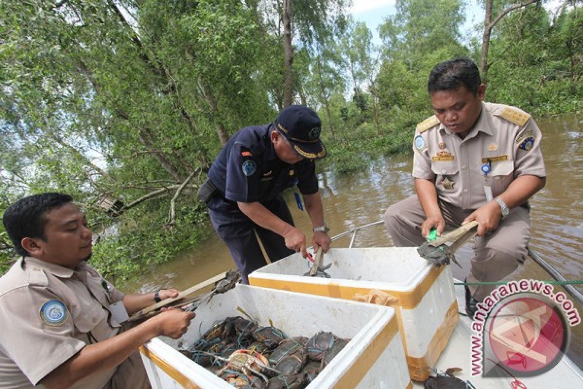 Sumber daya kelautan Tanah Laut belum digarap maksimal