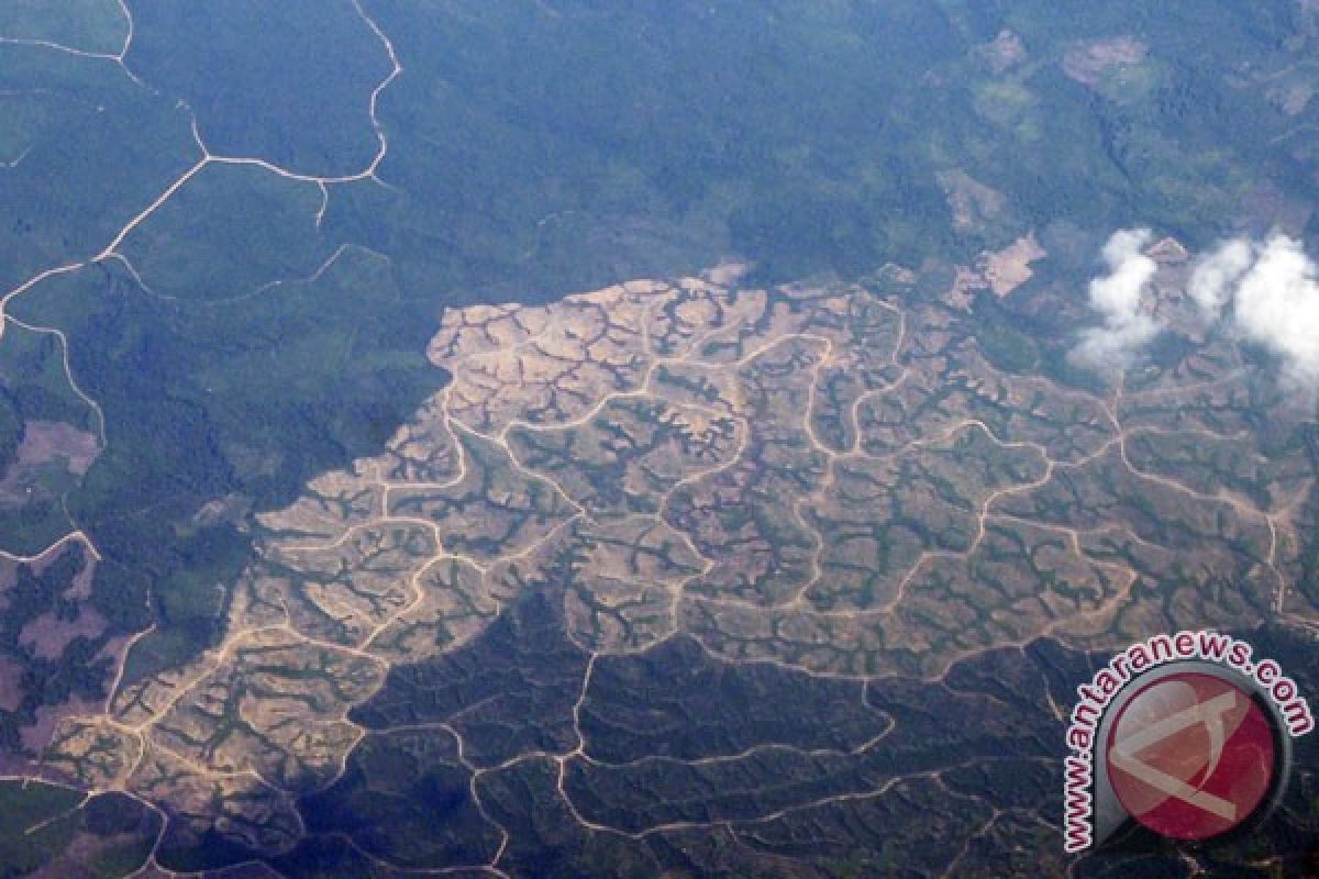 Kawasan hutan makin menyempit