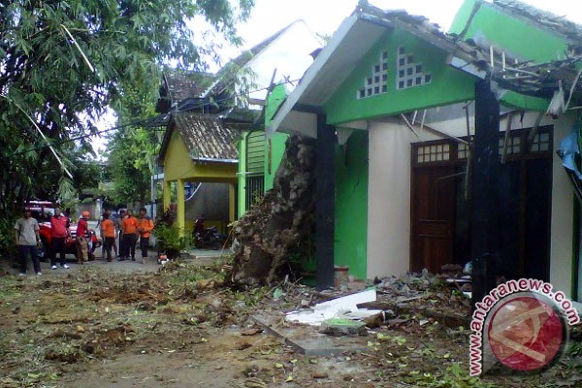 BPBD Bantul evakuasi pohon tumbang timpa rumah 