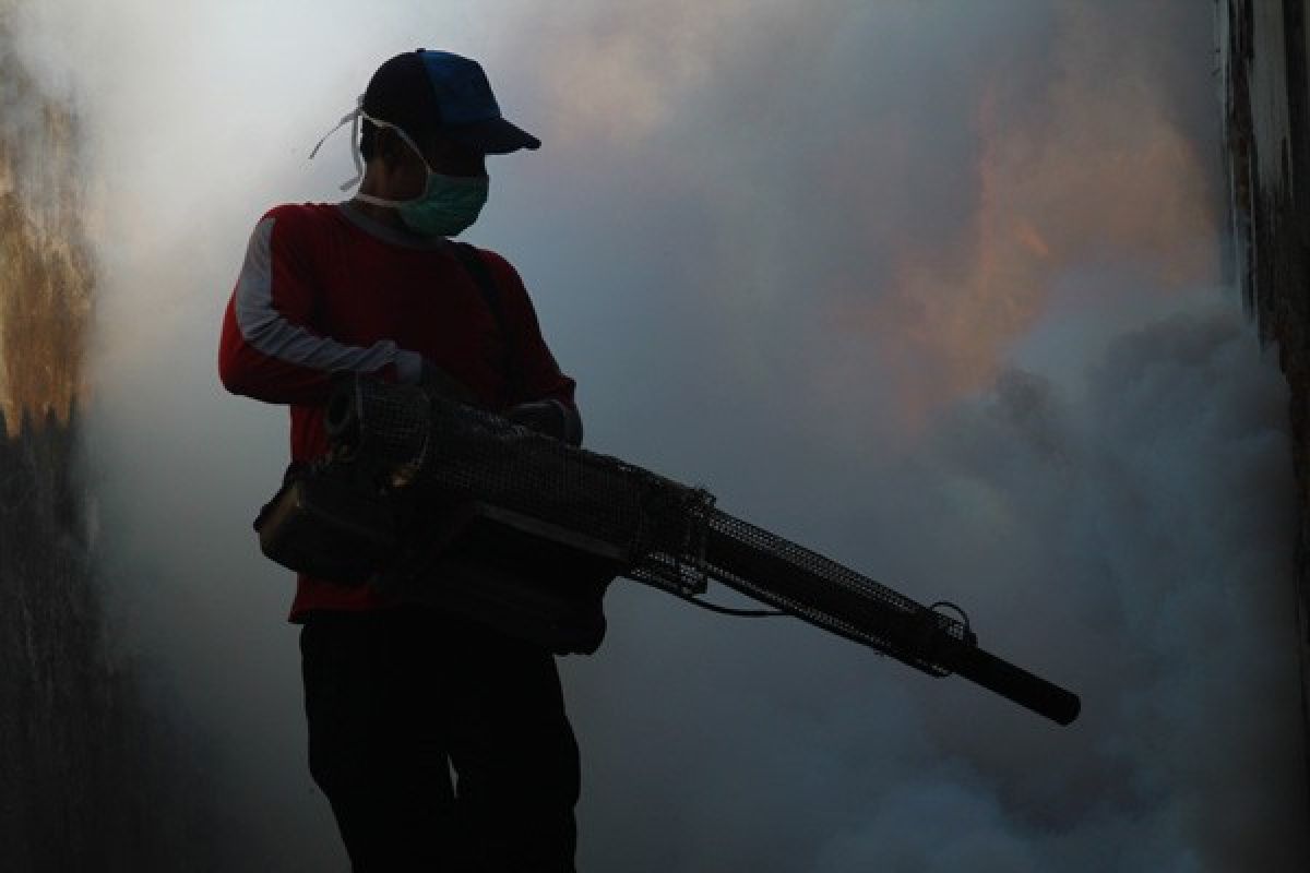 Rumah Sakit Kabupaten Blitar Kewalahan Rawat Pasien DB