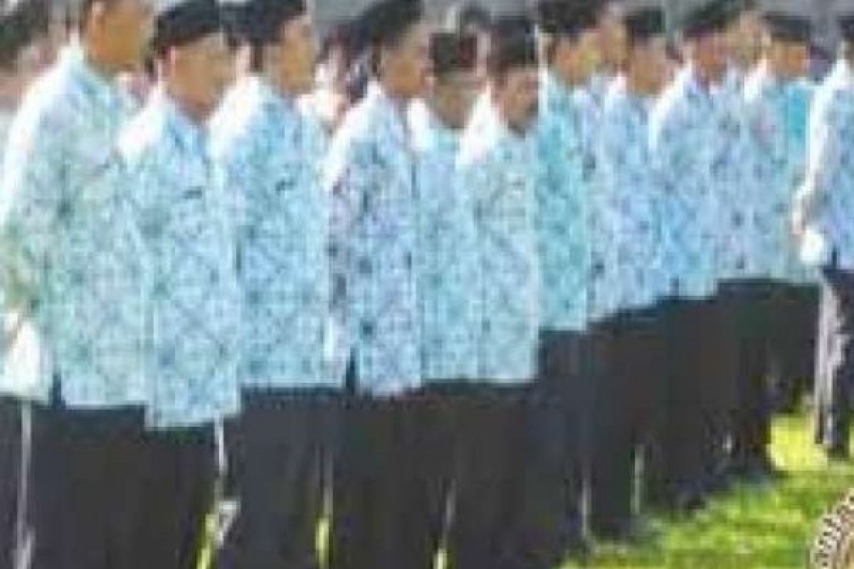 BKN Jelaskan Status 100 Honorer K2 Riau