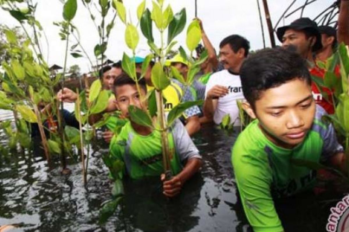 HUT Balikpapan Ke-118 Dimeriahkan Dengan Menanam Bakau