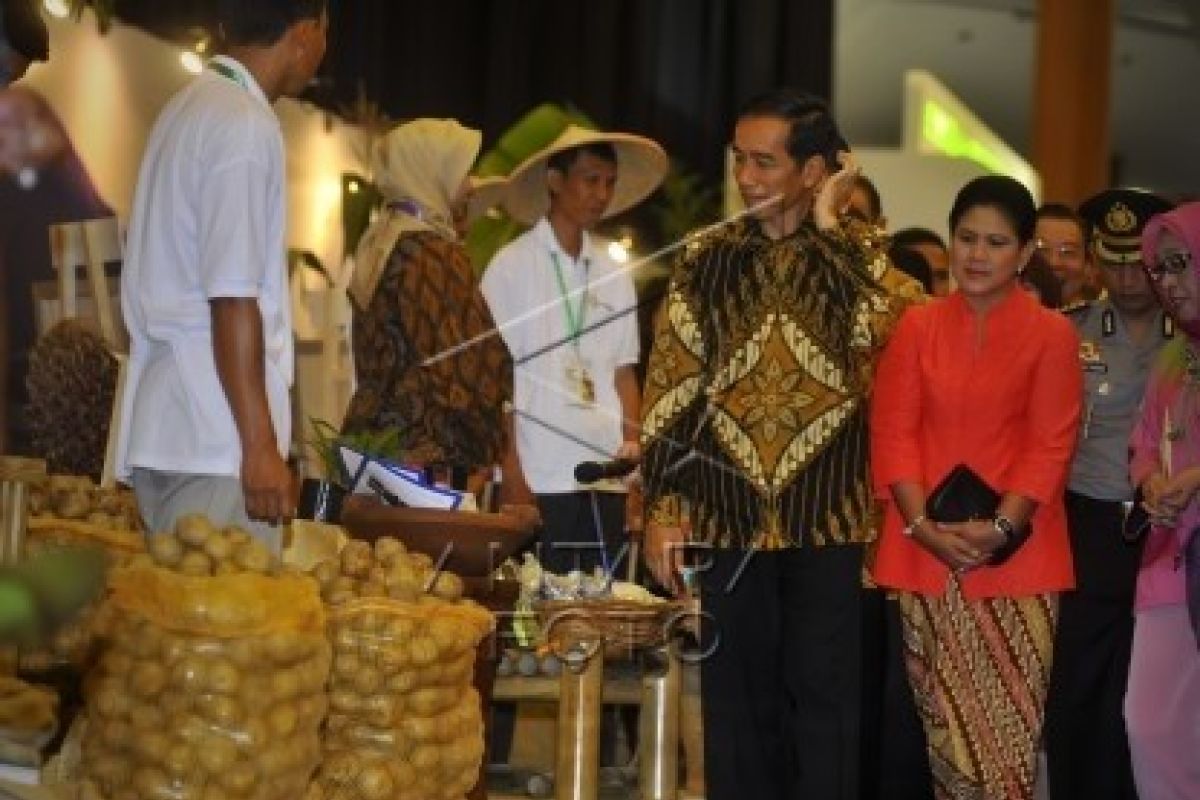 Pengembangan Hortikultura Masih Membutuhkan Dukungan Investasi Asing