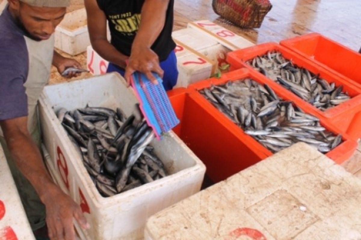 DKP Probolinggo Budidaya Ikan di Tujuh Kecamatan