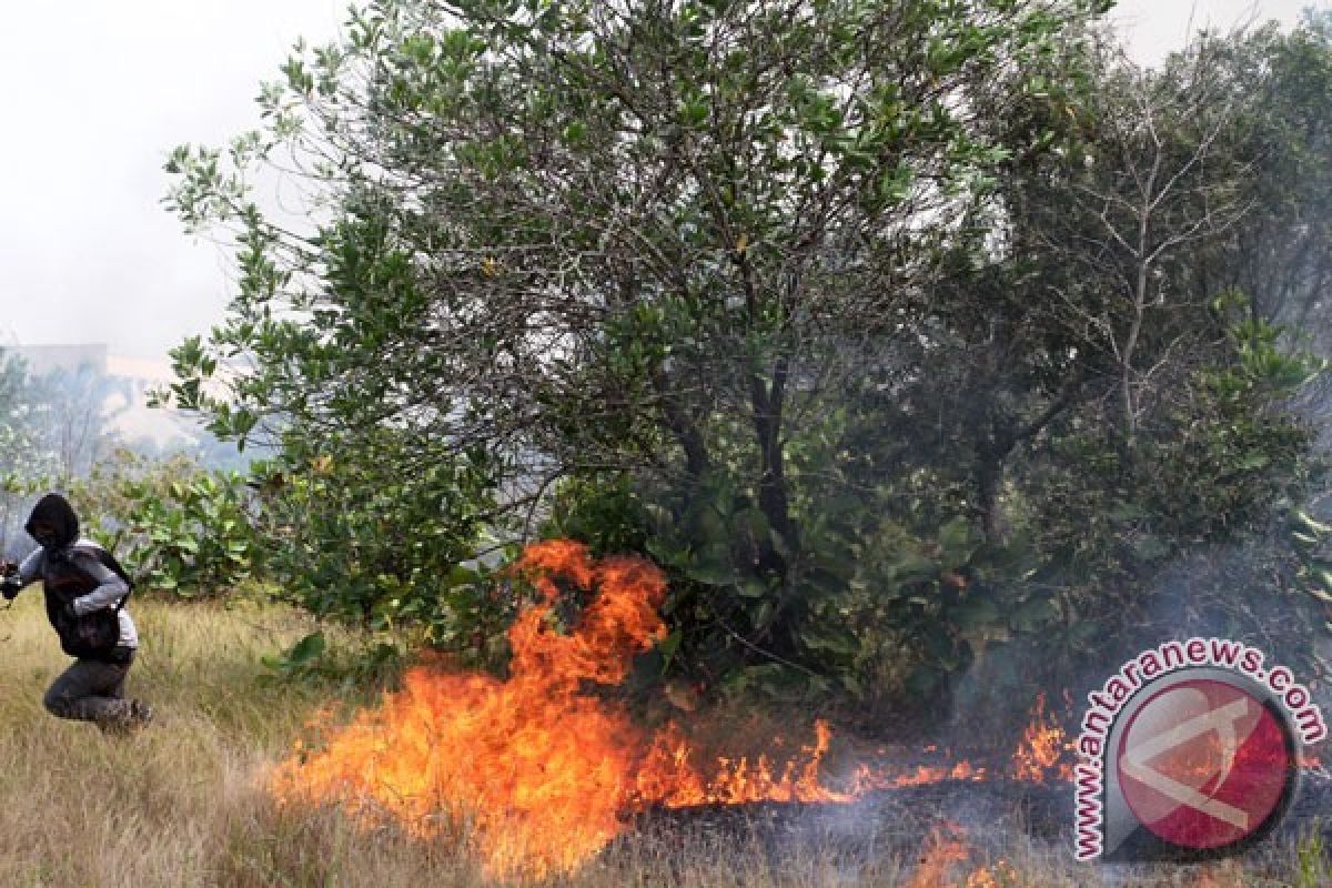 BMKG: hujan lebat padamkan titik api di Riau