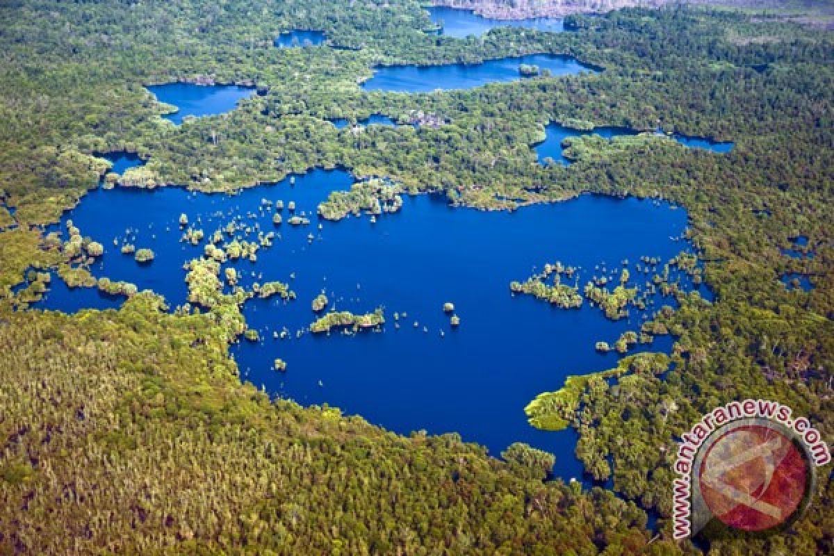 Laju penyempitan hutan lebih cepat dari perkiraan