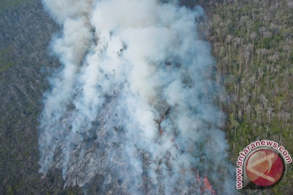 Kabut asap berpotensi terus selimuti Batam