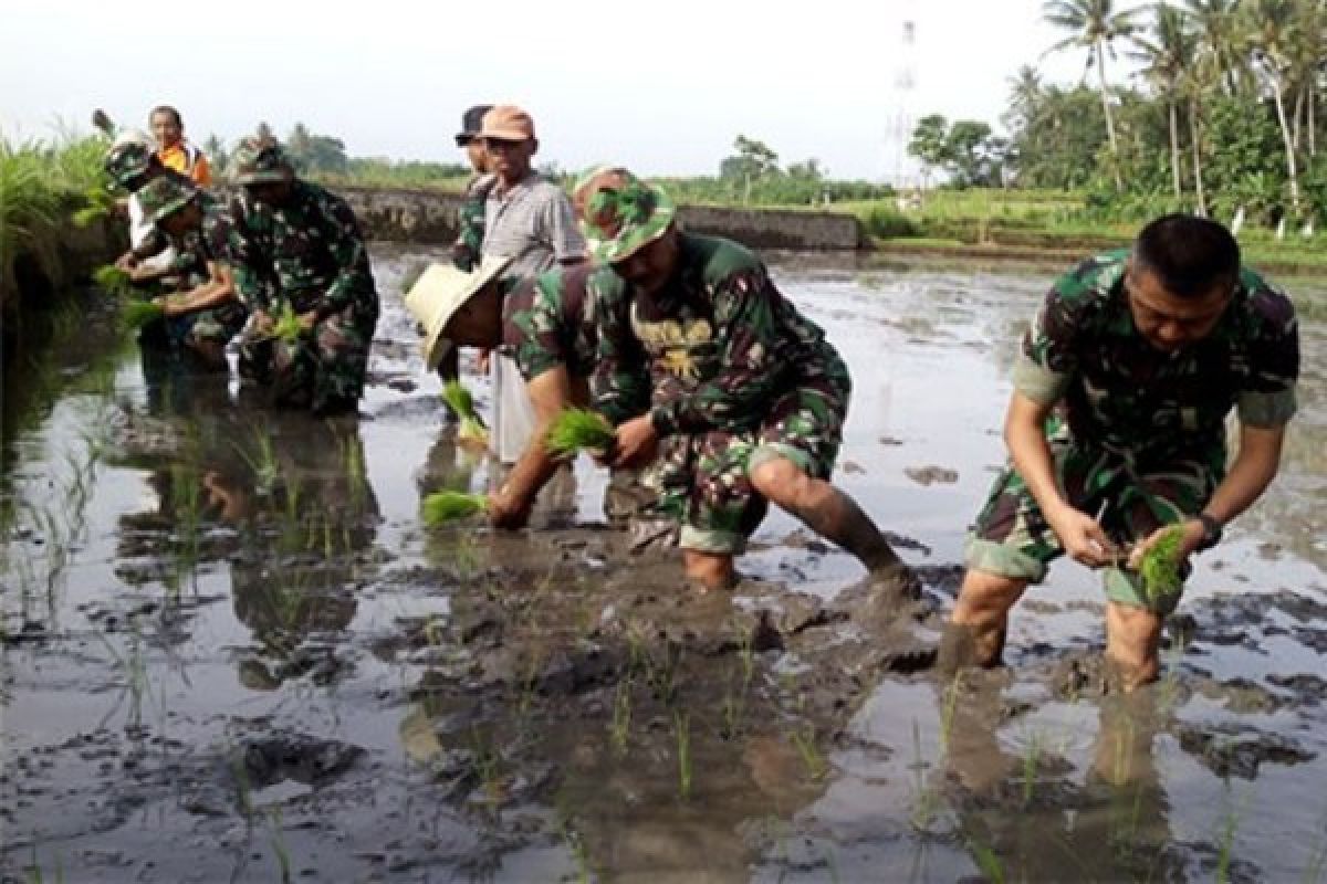 Kodam dan Pemkot Jayapura dukung program nasional swasembada pangan