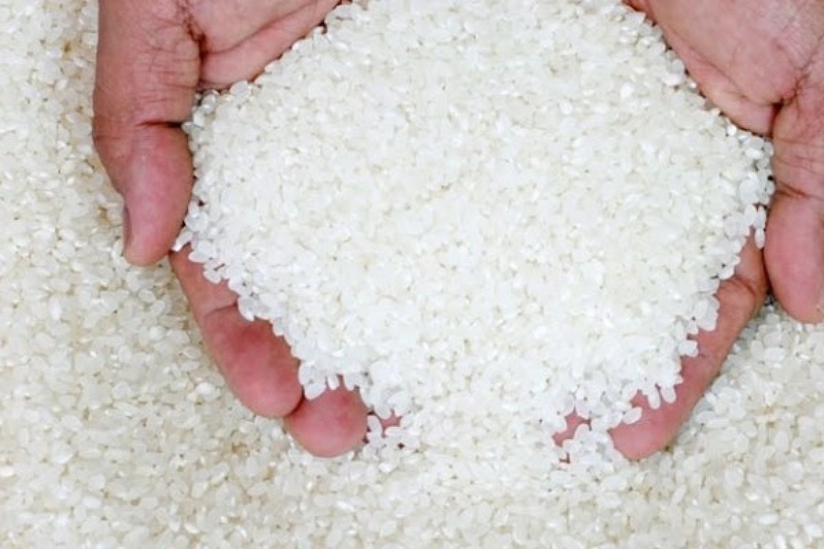 W Sumatra, Batam Coopertaion Focused on Rice Commodity