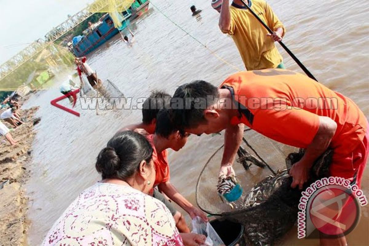 Potensi Perikanan Budidaya Seruyan Belum Tergarap Maksimal 