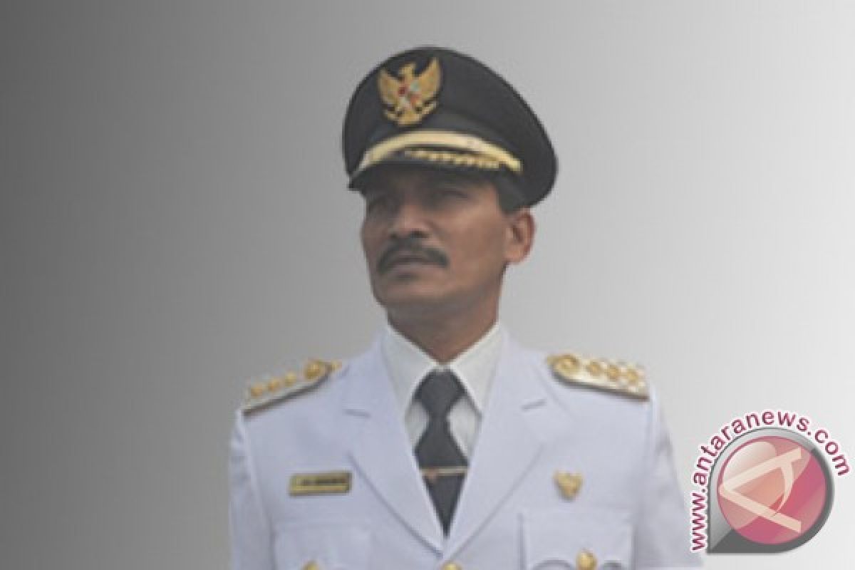 Bupati: Padi komoditas unggulan Aceh Jaya