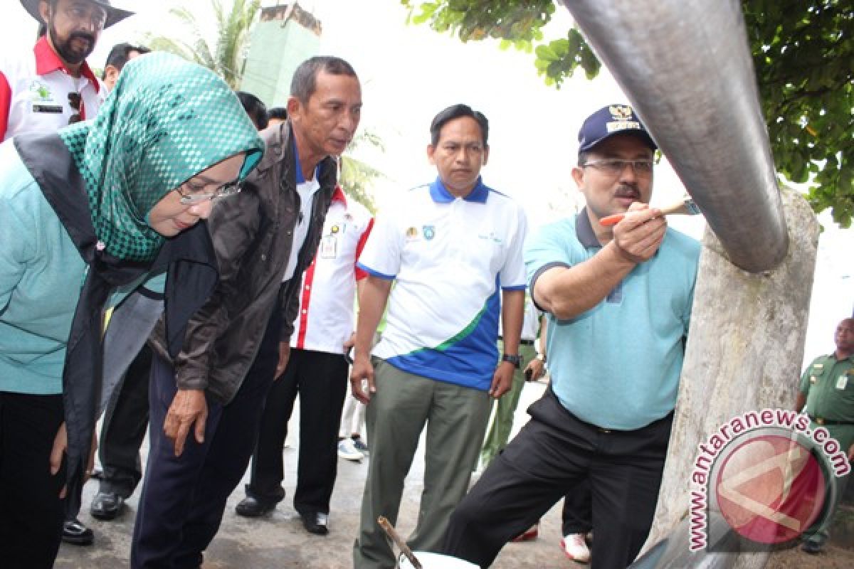 Khairul Saleh Cat Jembatan Sekumpul