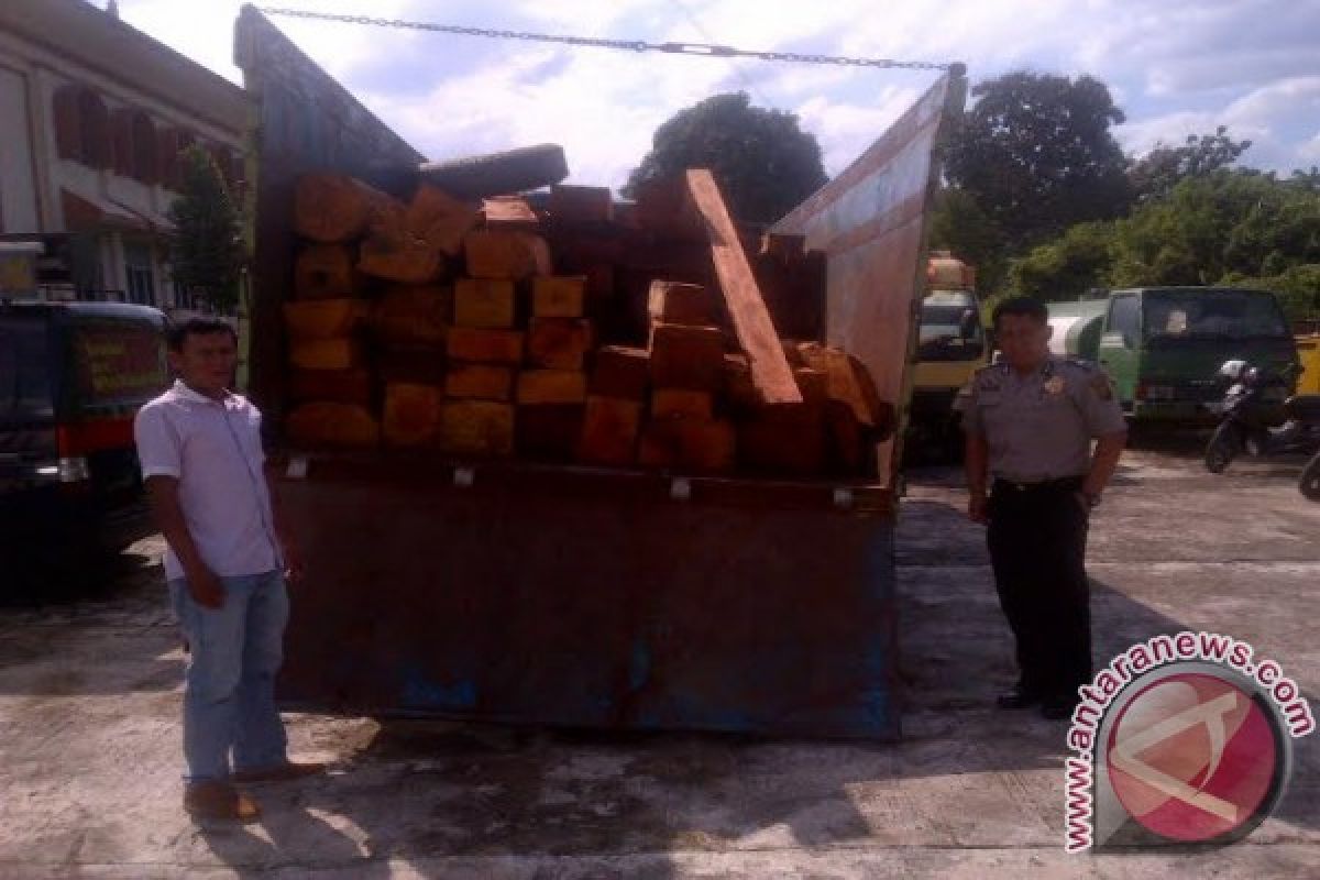 Polres amankan 14 meter kubik kayu ilegal 