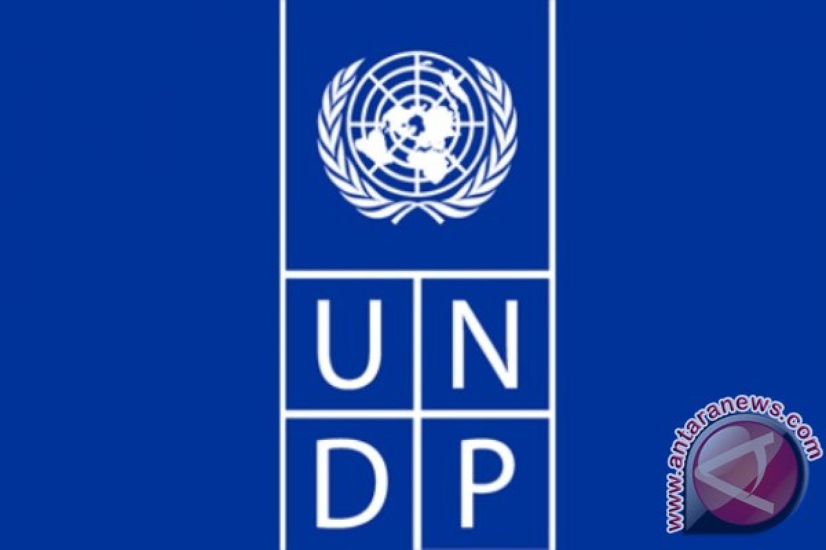 UNDP Apresiasi Kalteng Adopsi Permodelan Ekonomi Hijau