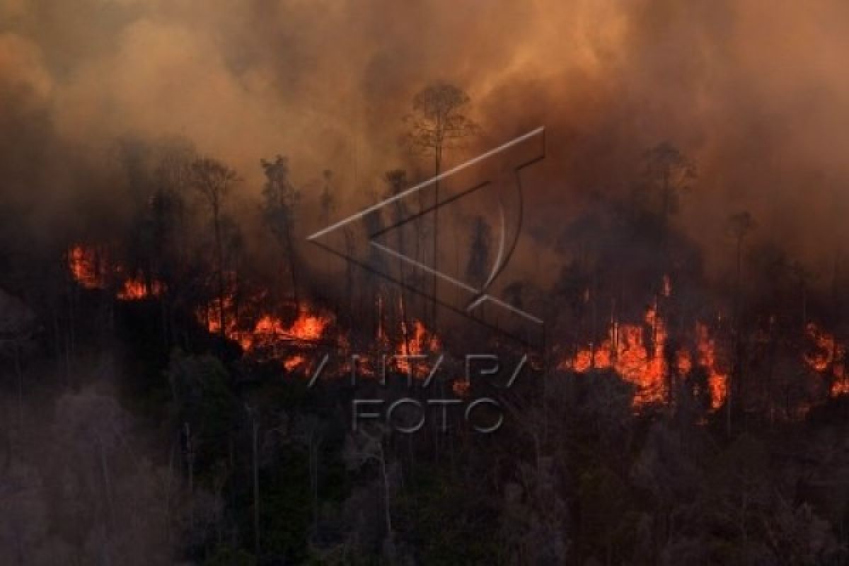 Kebakaran Hutan Ancam Istana Alhambra di Granada