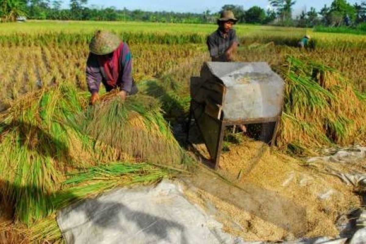 Kementan fokuskan mekanisasi pertanian ke seluruh wilayah Indonesia