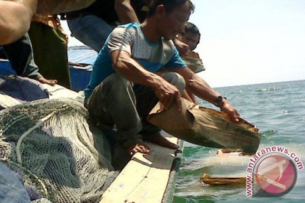 Tangkapan Turun, Nelayan Aceh Barat Adakan Ritual Laut