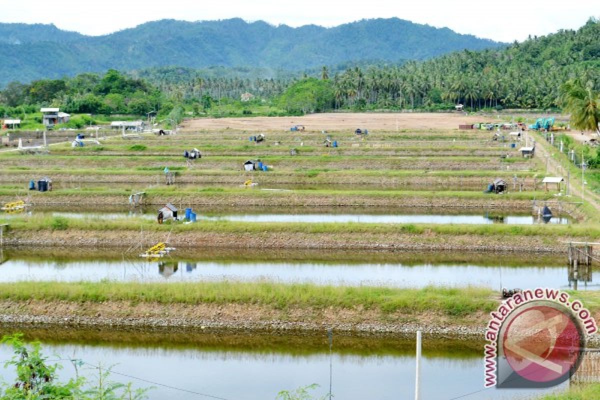 BUMN Hadir Untuk Negeri Bagi Bumi Udang Bratasena