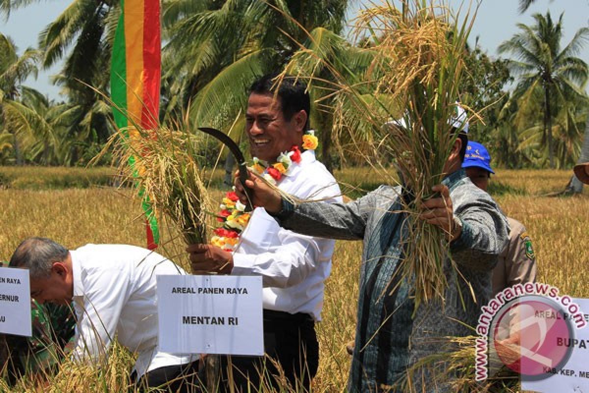 Mentan: program mandiri pangan kampar penggerak semangat