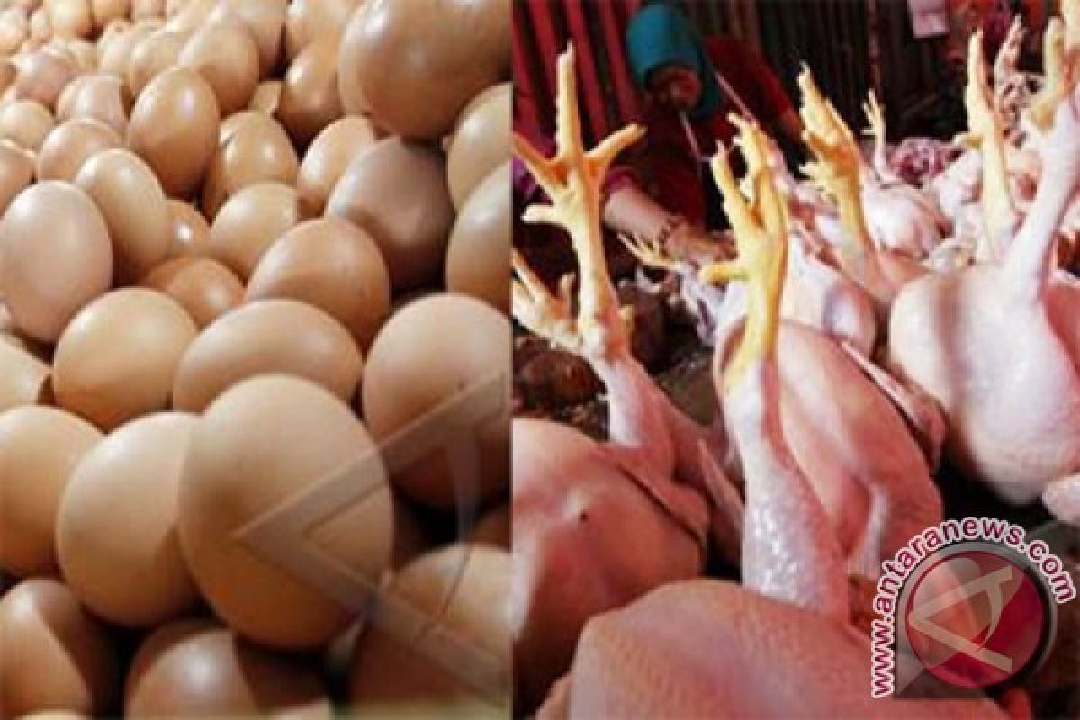 Harga telur dan ayam di Solo tinggi