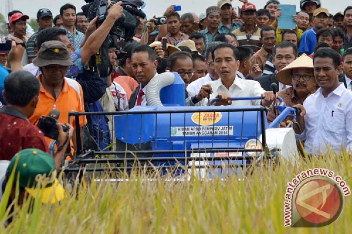 Presiden minta petani tingkatkan produksi beras