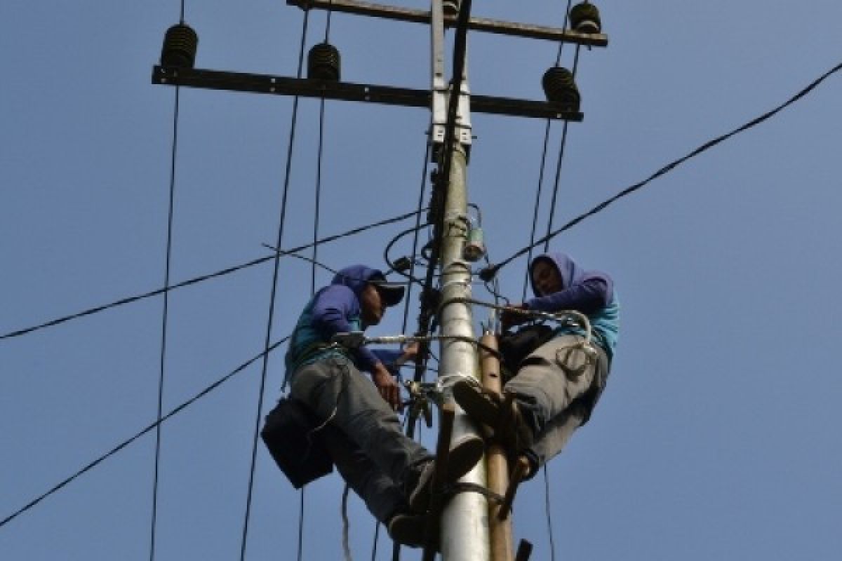 PLN sebut kelistrikan Palu sudah menyala 85 persen