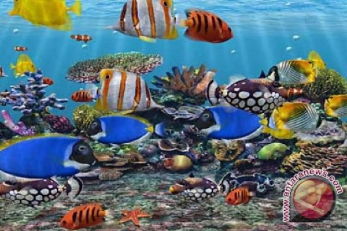 Ikan hias Sulut  makin diminati Thailand 