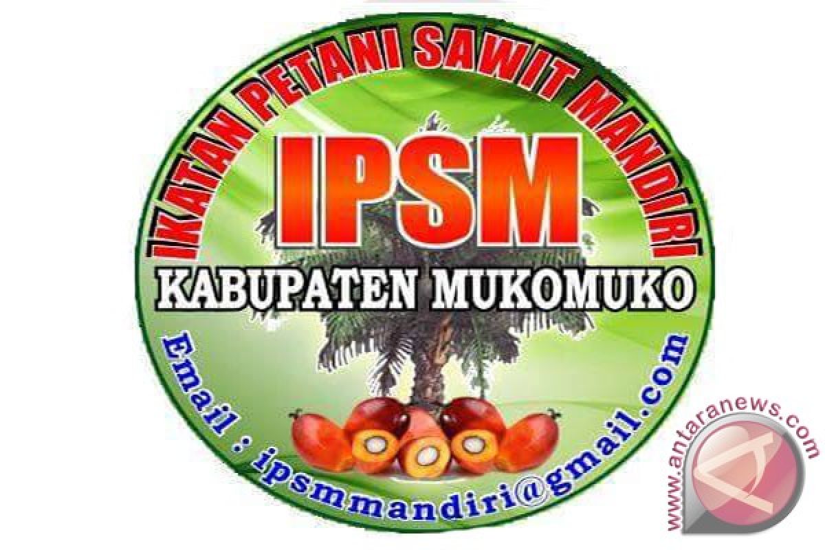 IPSM targetkan harga sawit tingkat petani Rp1.400