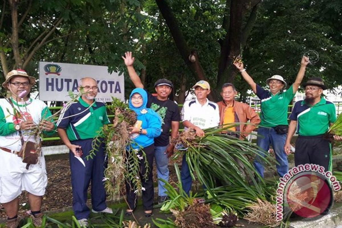 Meratus Orchids Planted in Banjarmasin