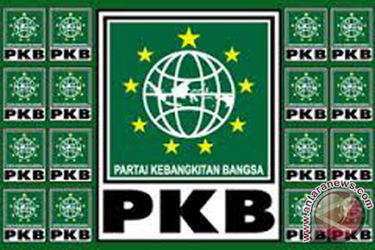 Ketua DPC PKB Banjarmasin Diberhentikan