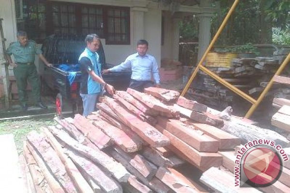 Dishut Jambi amankan 27 meter kubik kayu ilegal