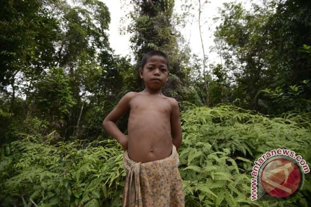 Earth Wire -- Some 48.8 million population of Indonesia live in forest