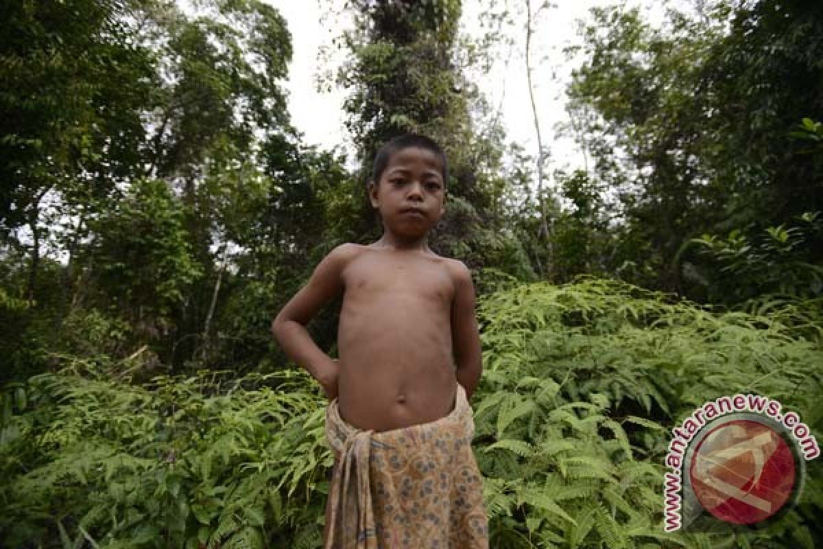 Kemensos-KLHK koordinasi tangani orang rimba di TNBD