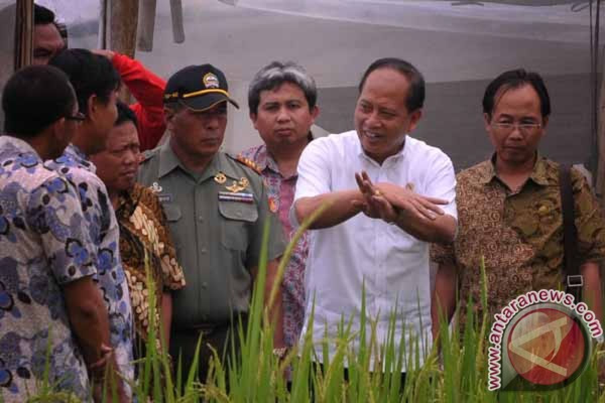 Pemerintah petakan riset perguruan tinggi