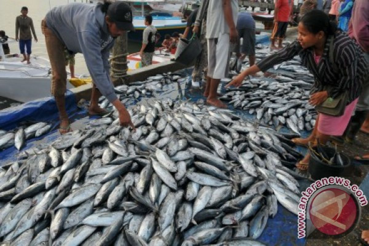 Produksi Ikan di PPN Capai 127.378 Kilogram