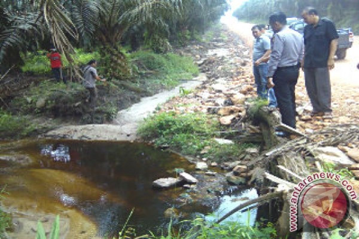 Limbah PT TBSM Sekadau Diduga Cemari Sungai