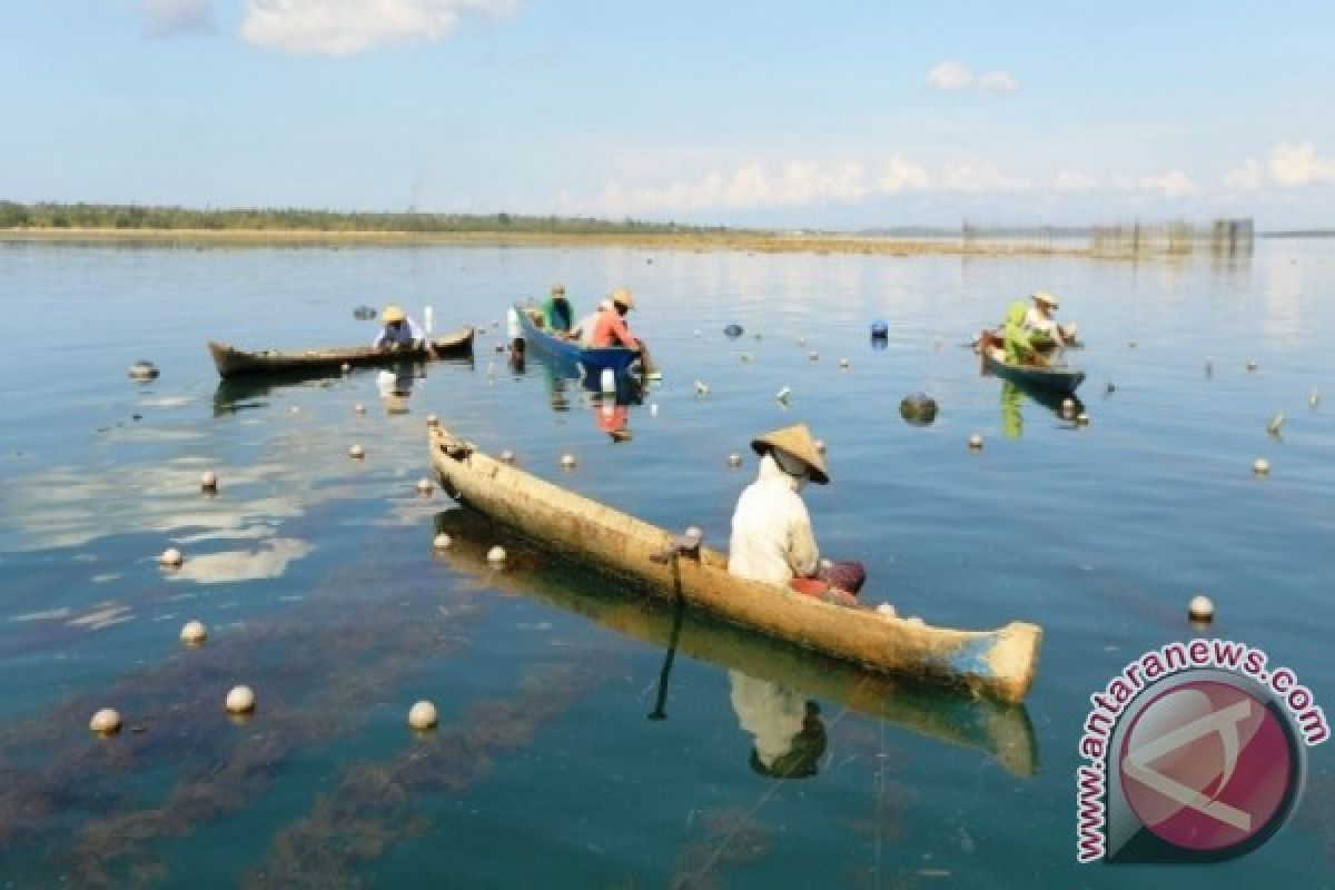 Tragedi Pencemaran Laut Timor Yang Terlupakan