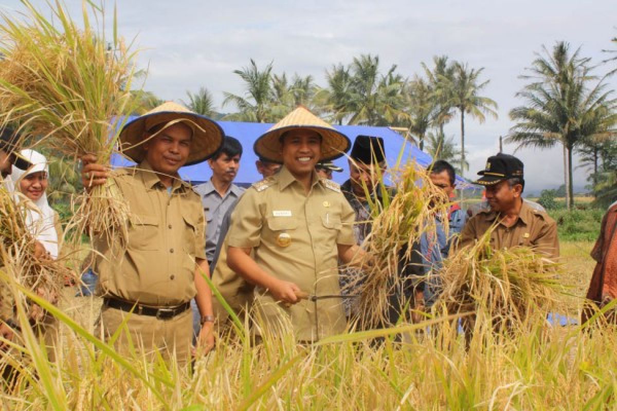 Tujuh Kelompok Tani Kembangkan Pertanian Organik