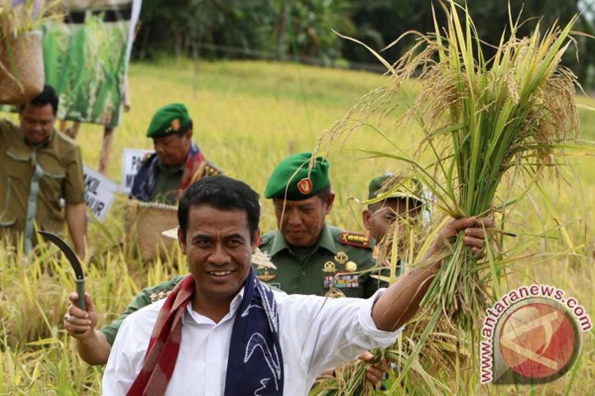 Mentan : pemerintah tidak akan impor beras