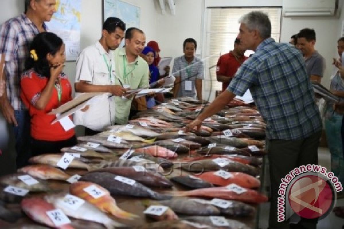 Pedagang Ikan Sulut Pasok Kebutuhan Gorontalo